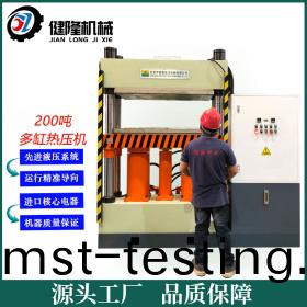200噸(dun)伺服雙(shuang)缸熱(re)固(gu)成型(xing)液(ye)壓機(ji)